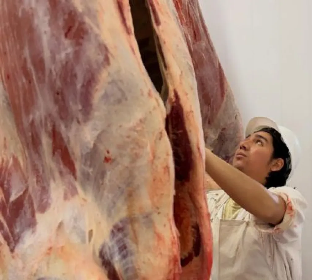 md - 2026-01-10T142822.928