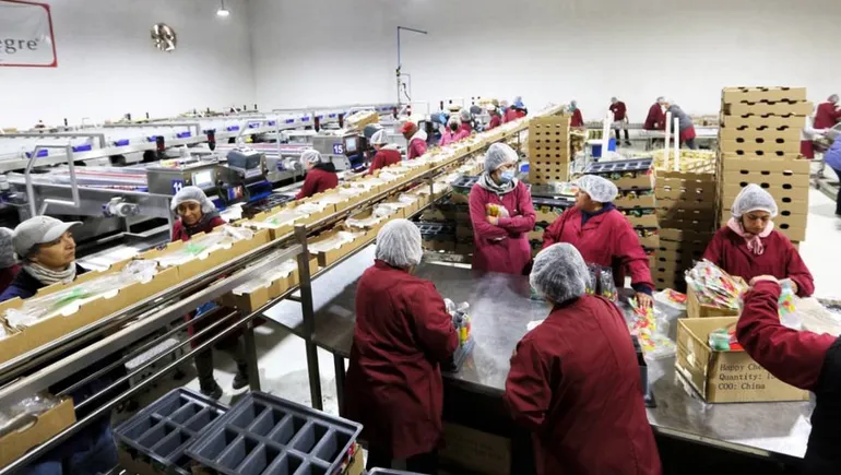 cerezas-vista-alegrejpg