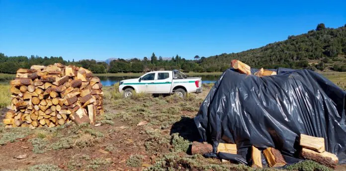 web-Villa-Pehuenia-Moquehue-dejara-de-usar-lena-nativa-para-calefaccion-272_n-696x344