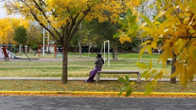 f685x385-798513_836206_5050