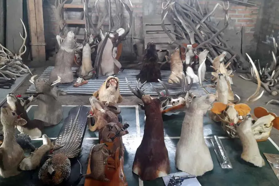 Imagen-de-WhatsApp-2024-09-19-a-las-19.25.48_3f354224