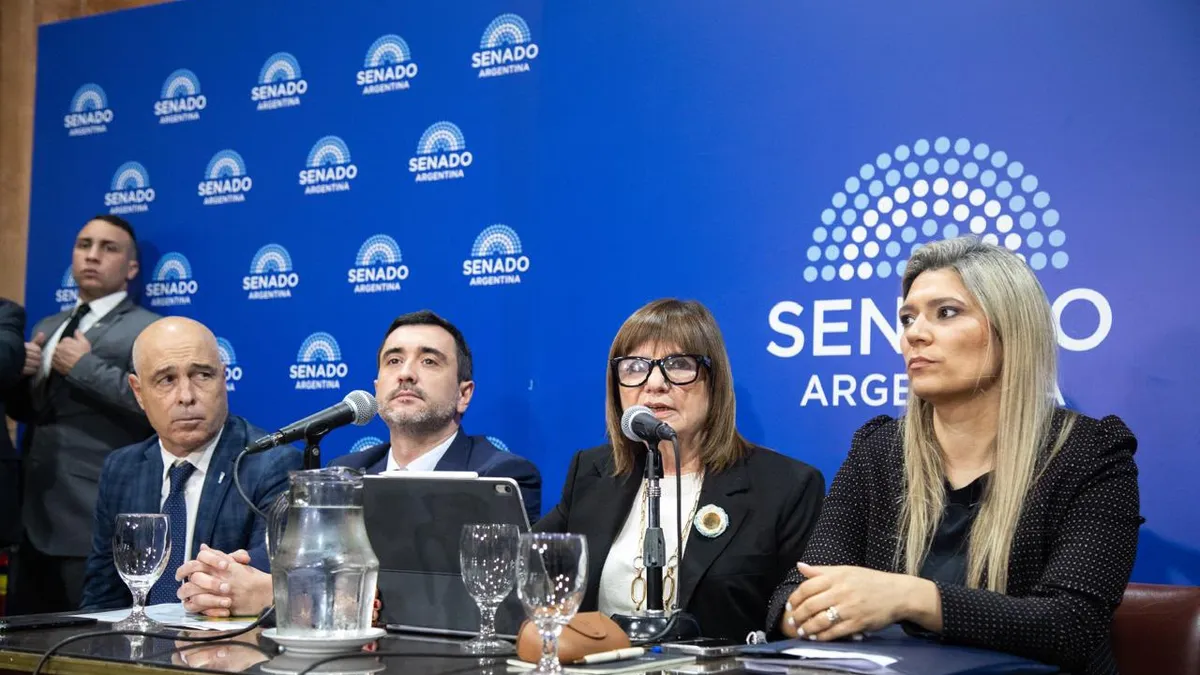 bullrich-senado-3