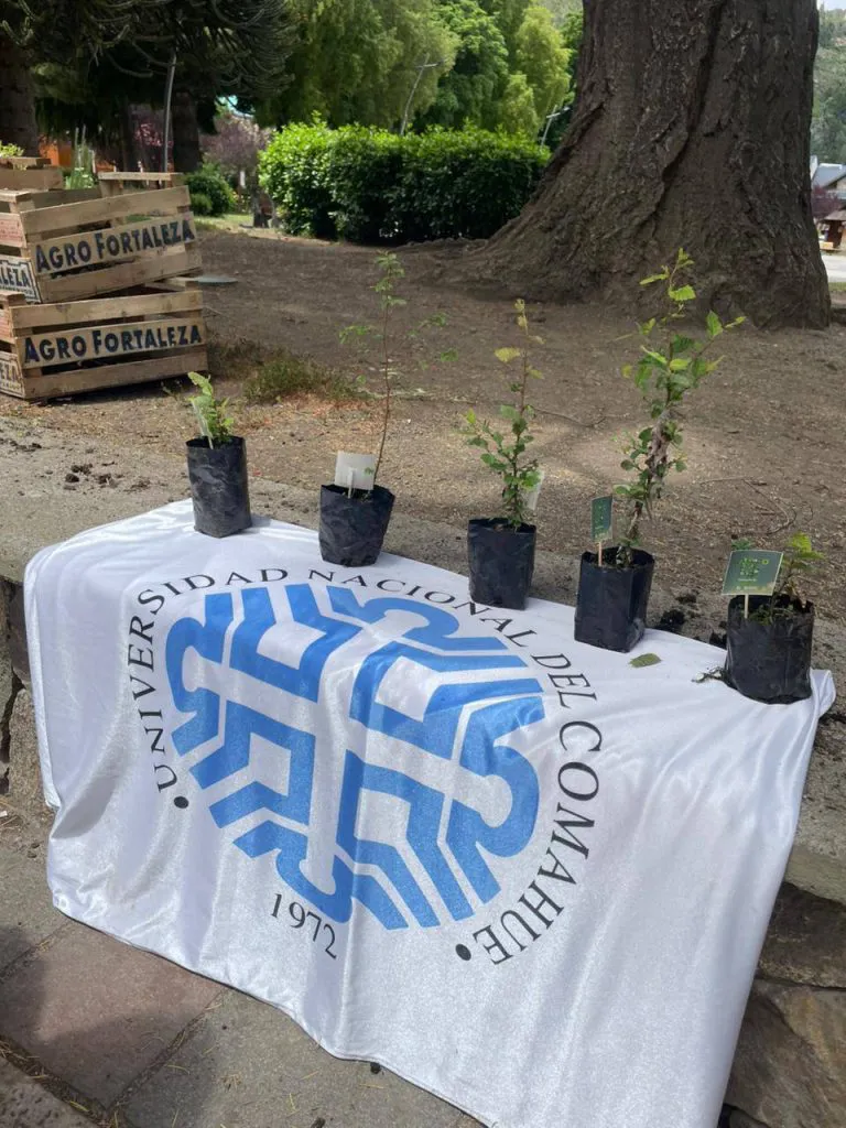 592723447_1253907260090941_3001077998384380408_n-768x1024