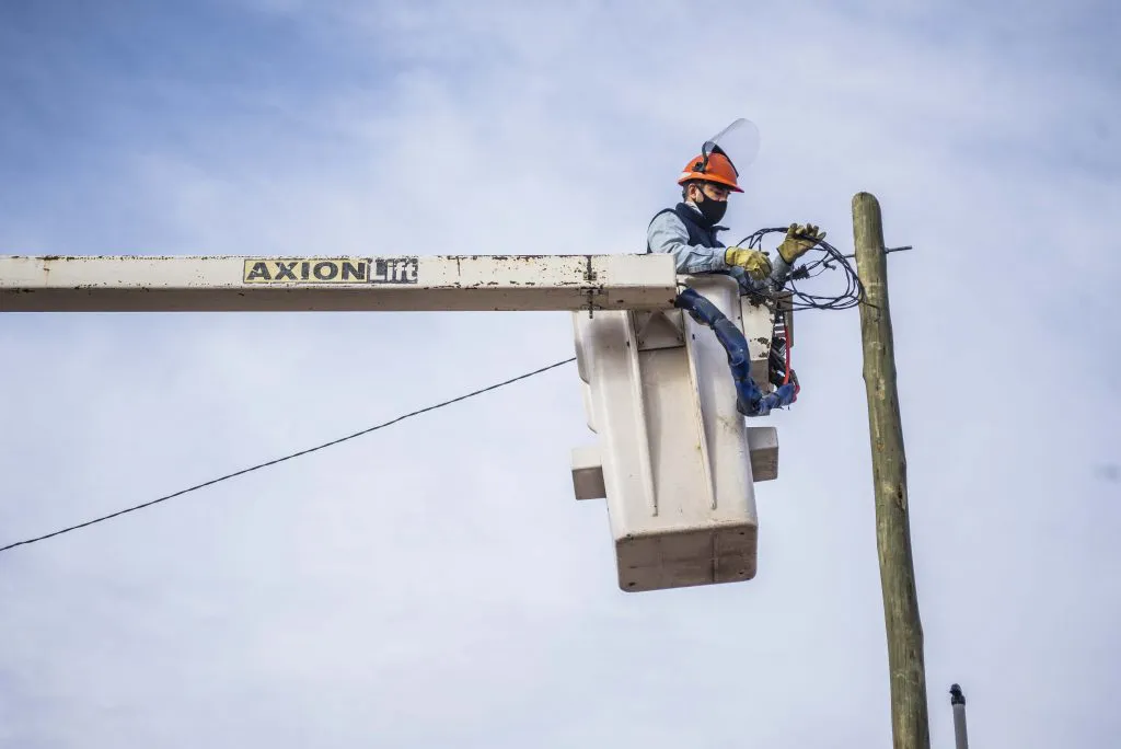 CALF-08_08_2020-13-1024x684