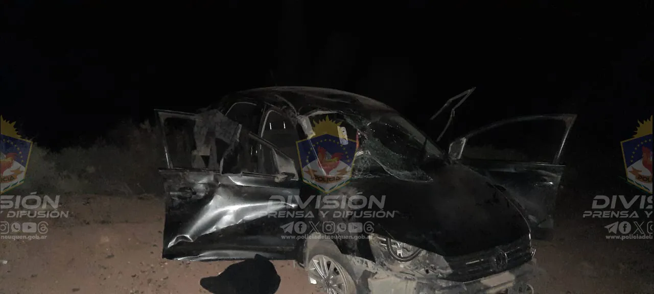 WhatsApp Image 2024-08-05 at 09.26.28 (1)