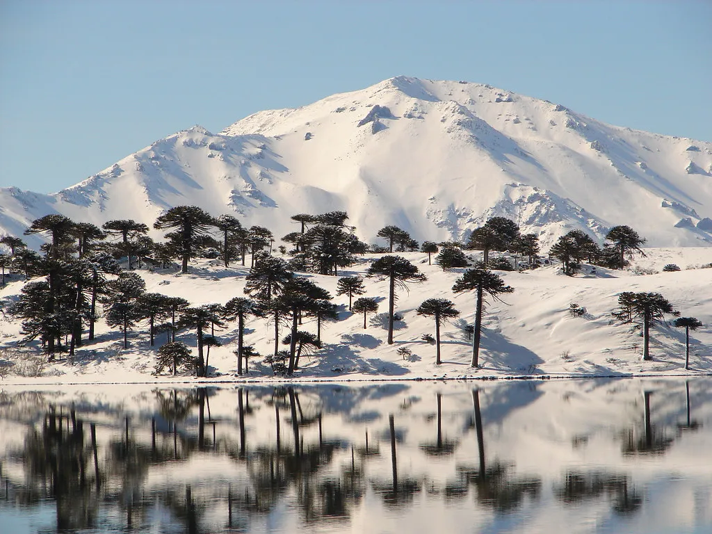 3429536457_86a6af75d0_b