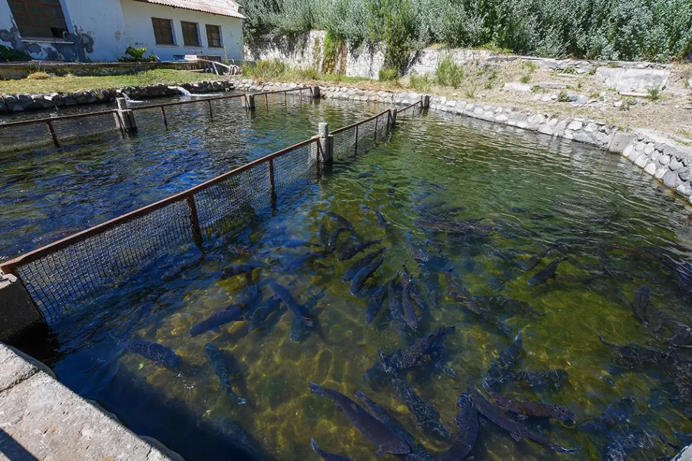 md - 2026-01-30T074207.578