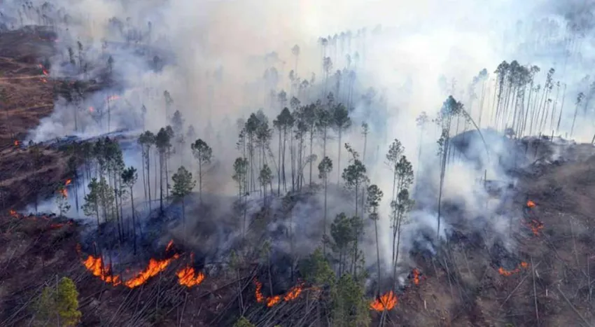 incendios (1)