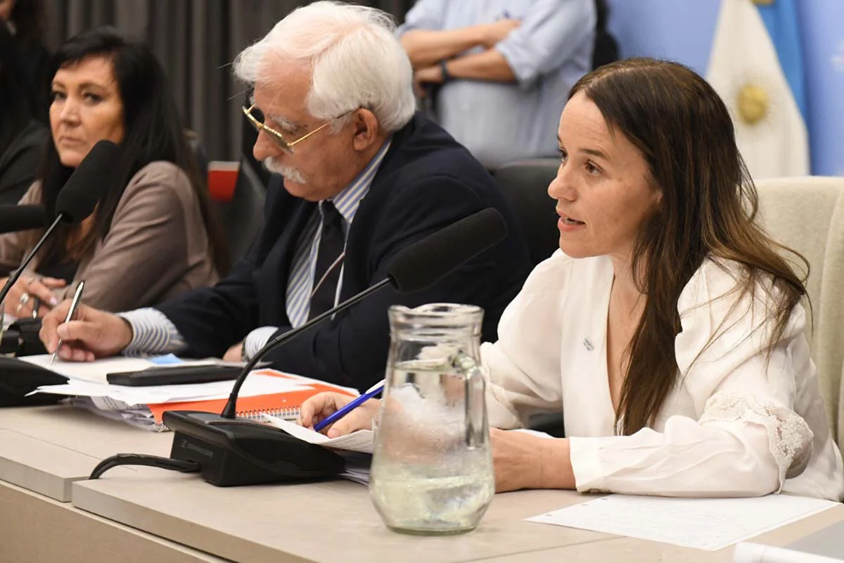 COMISION-DEL-DIA-DE-HOY-DIPUTADOS-3