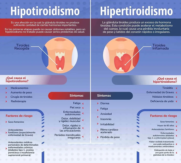 e7388c_74a3ba526de14438b377e7a5a25f41f0~mv2