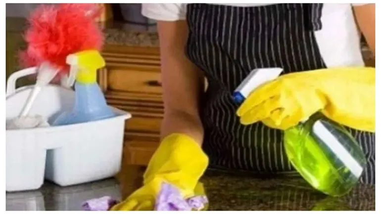 empleadas-domesticas