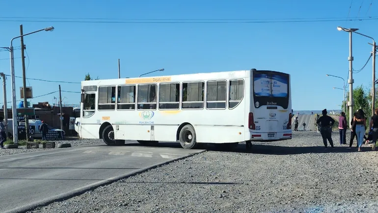 colectivo-pehuenche-tomado-ruca-antu