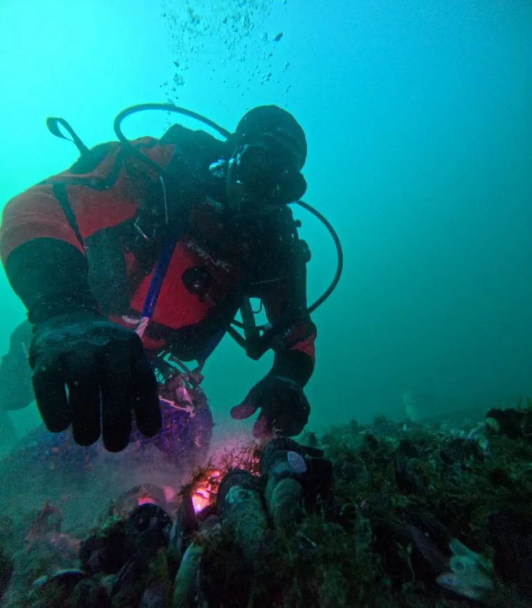 8b1f4062-770e-4d87-a5b1-877092ea1f49-768x878