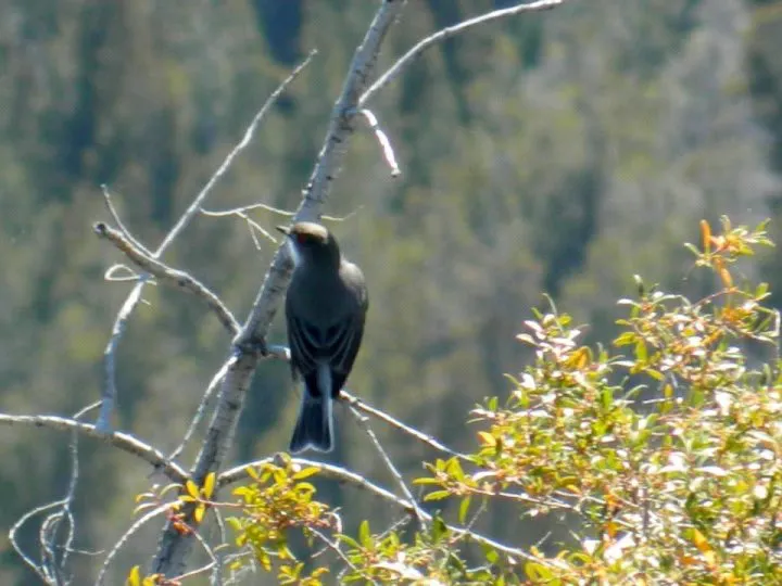 whatsapp_image_2025-10-07_at_14.38_36-23167