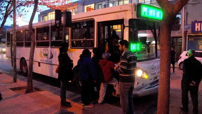 chofer-del-pehuenche