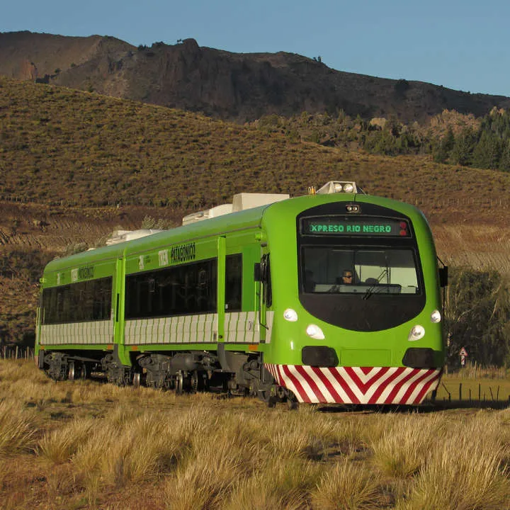 tren patagónico
