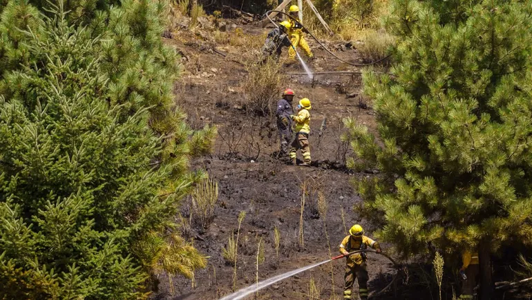 incendio-forestal-san-martin-los-andes-1jpg