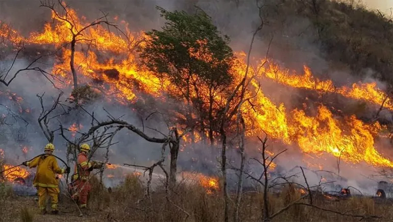 incendios-forestales