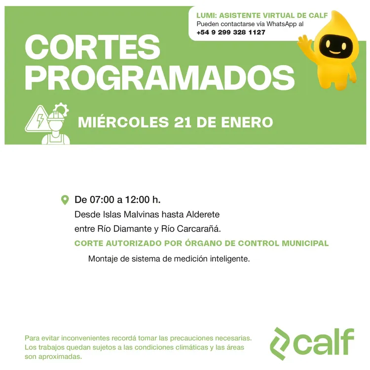 WhatsApp Image 2026-01-20 at 08.51.56