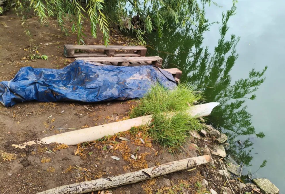 md - 2026-02-05T112440.871