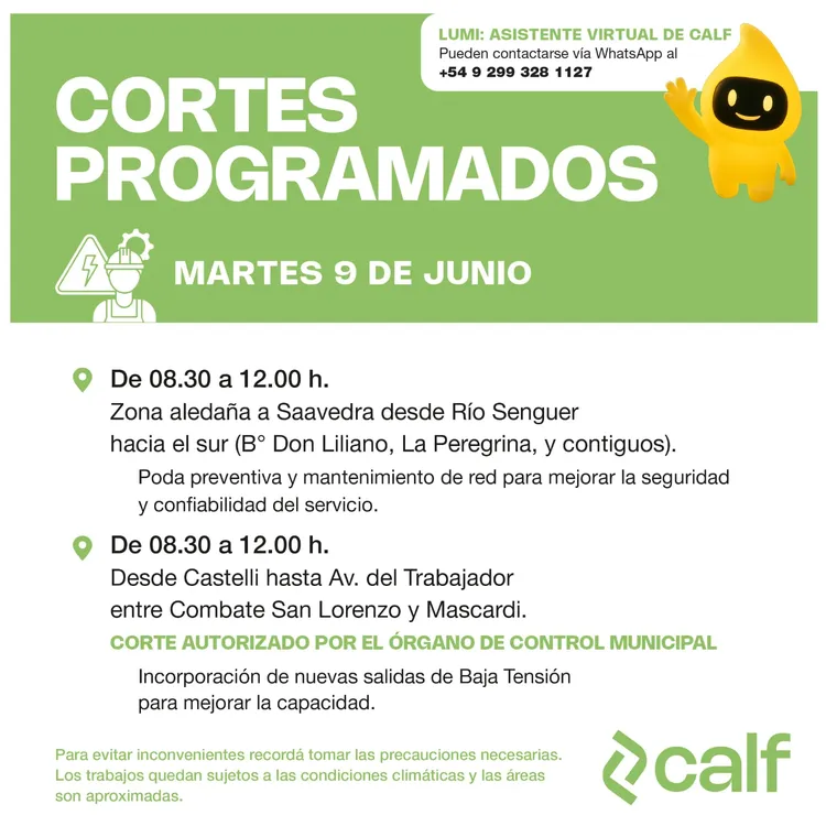 WhatsApp Image 2026-06-08 at 08.11.49