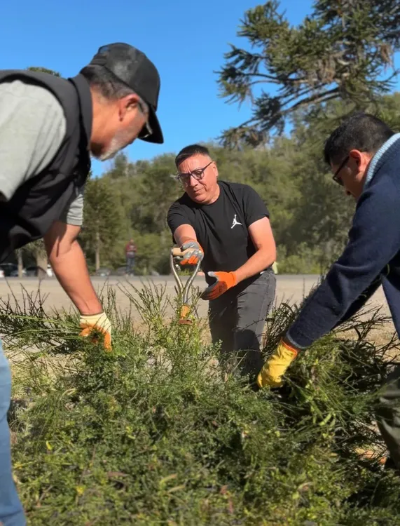 WhatsApp Image 2026-01-17 at 13.30.44 (1)