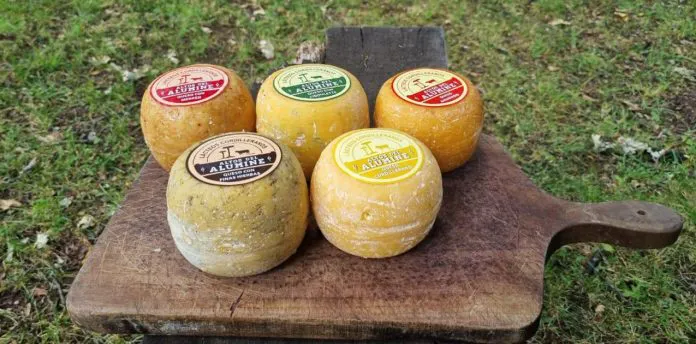 WEB-ENTREGA-DE-CREDITOS-15-696x344