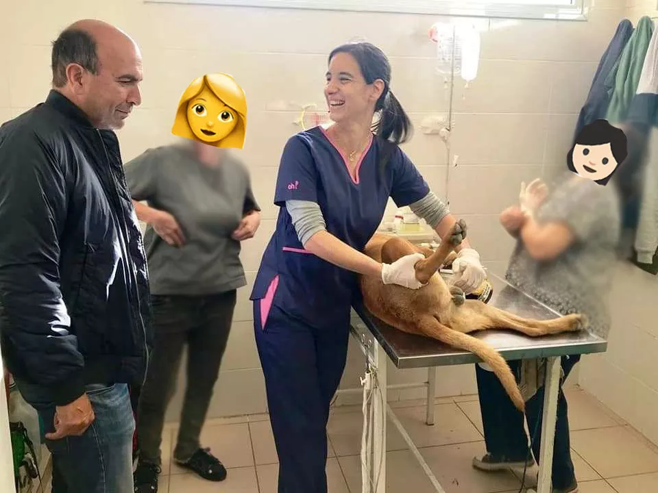 WhatsApp Image 2023-03-17 at 22.18.03