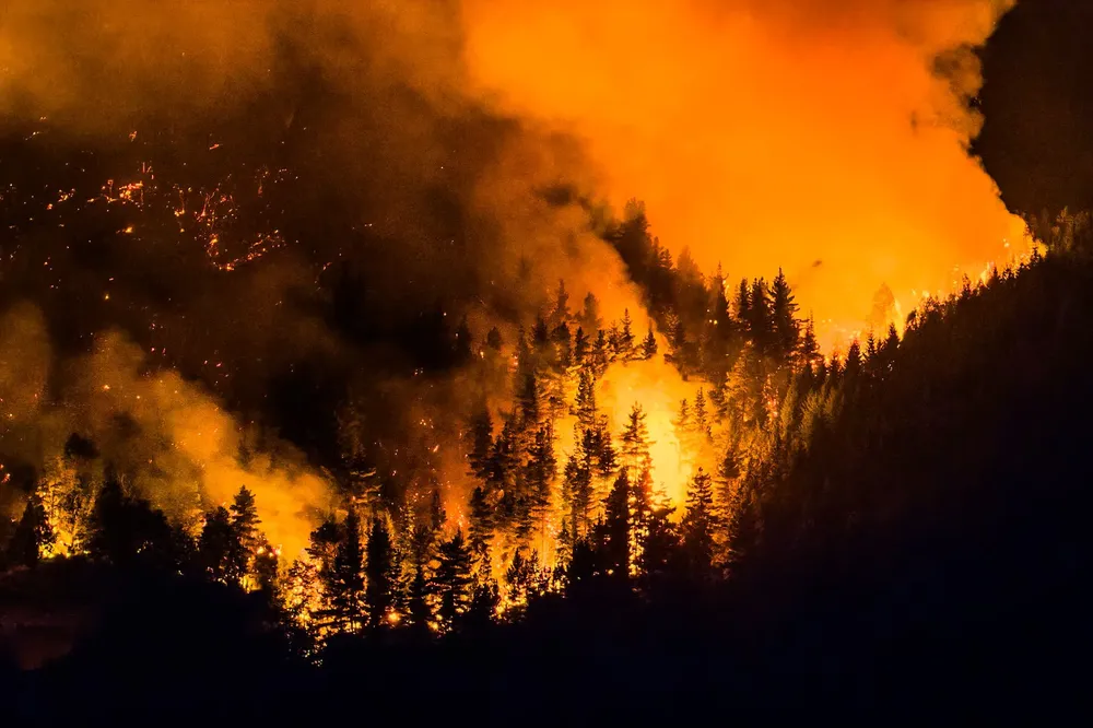 PPMAU2WTTRC7LNNGV4EBIM4LO4