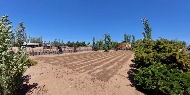 Vivero CCo