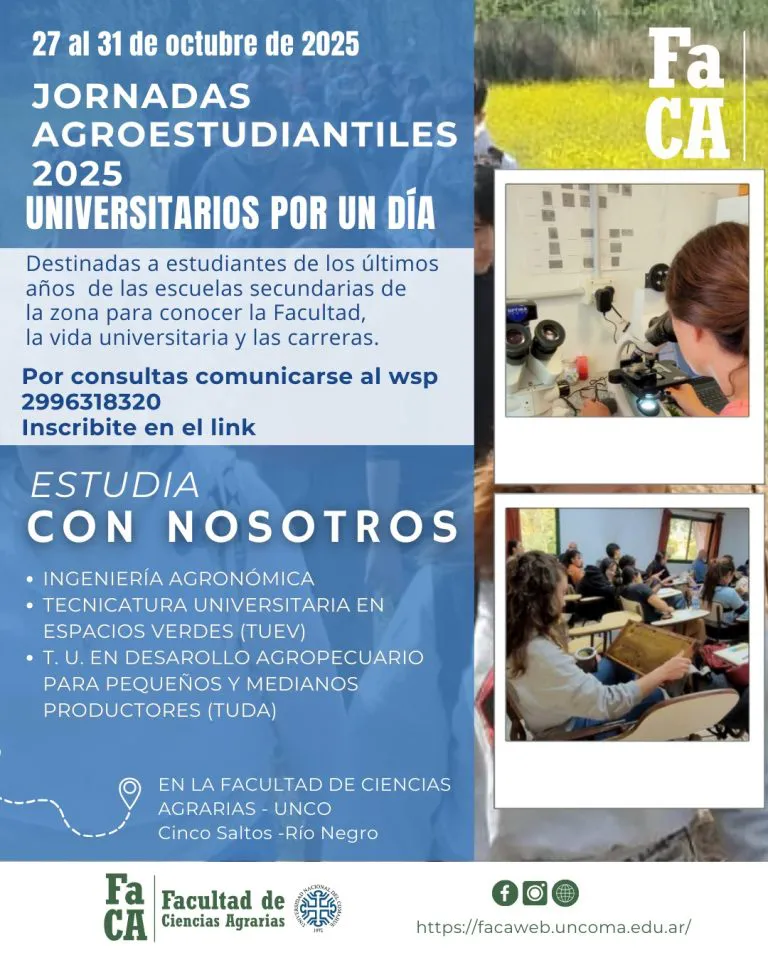 548295575_1287396526509753_644453613292745235_n-768x960