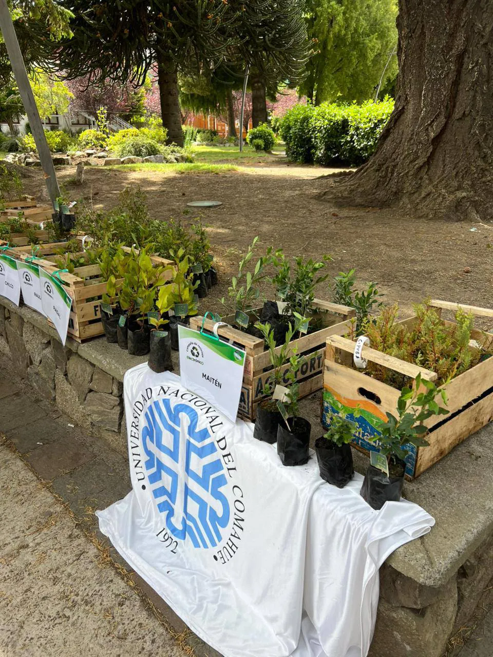 592083650_1253907093424291_4960460285944125784_n