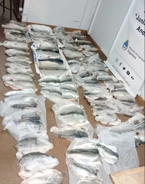 Pescadores Furtivos