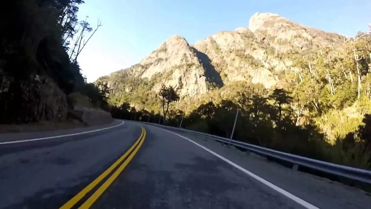 Ruta 231