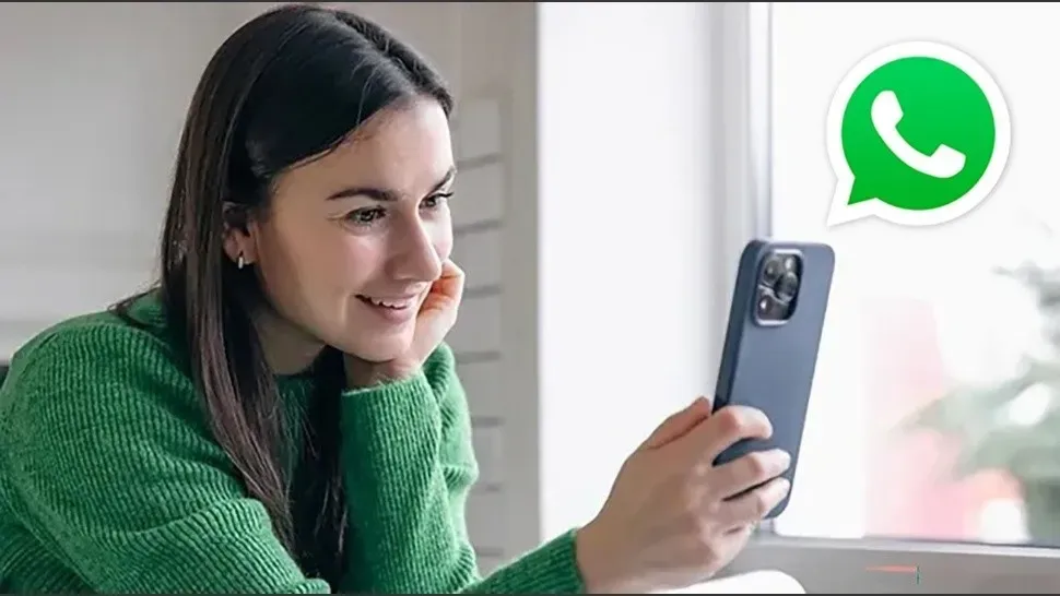 imagen_2023-06-15_104940721