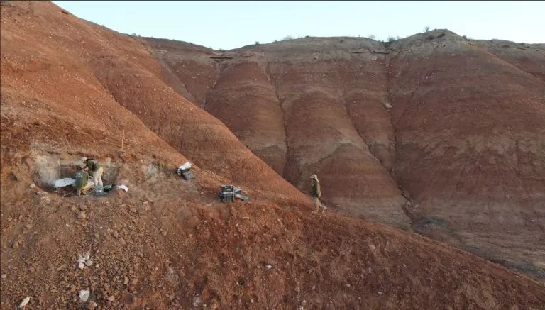 b640ee01-99a7-4ecb-8904-0aac574beb25-768x437