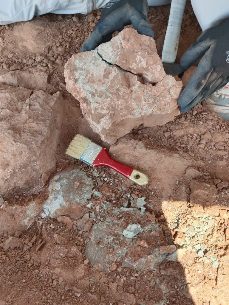 8e5f418d-64ff-4ae6-9d6c-87b6f1f50393-768x1024