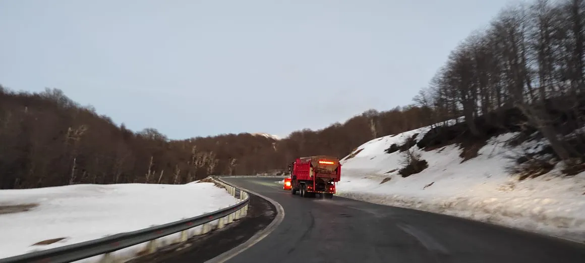 WhatsApp Image 2025-08-15 at 08.34.30