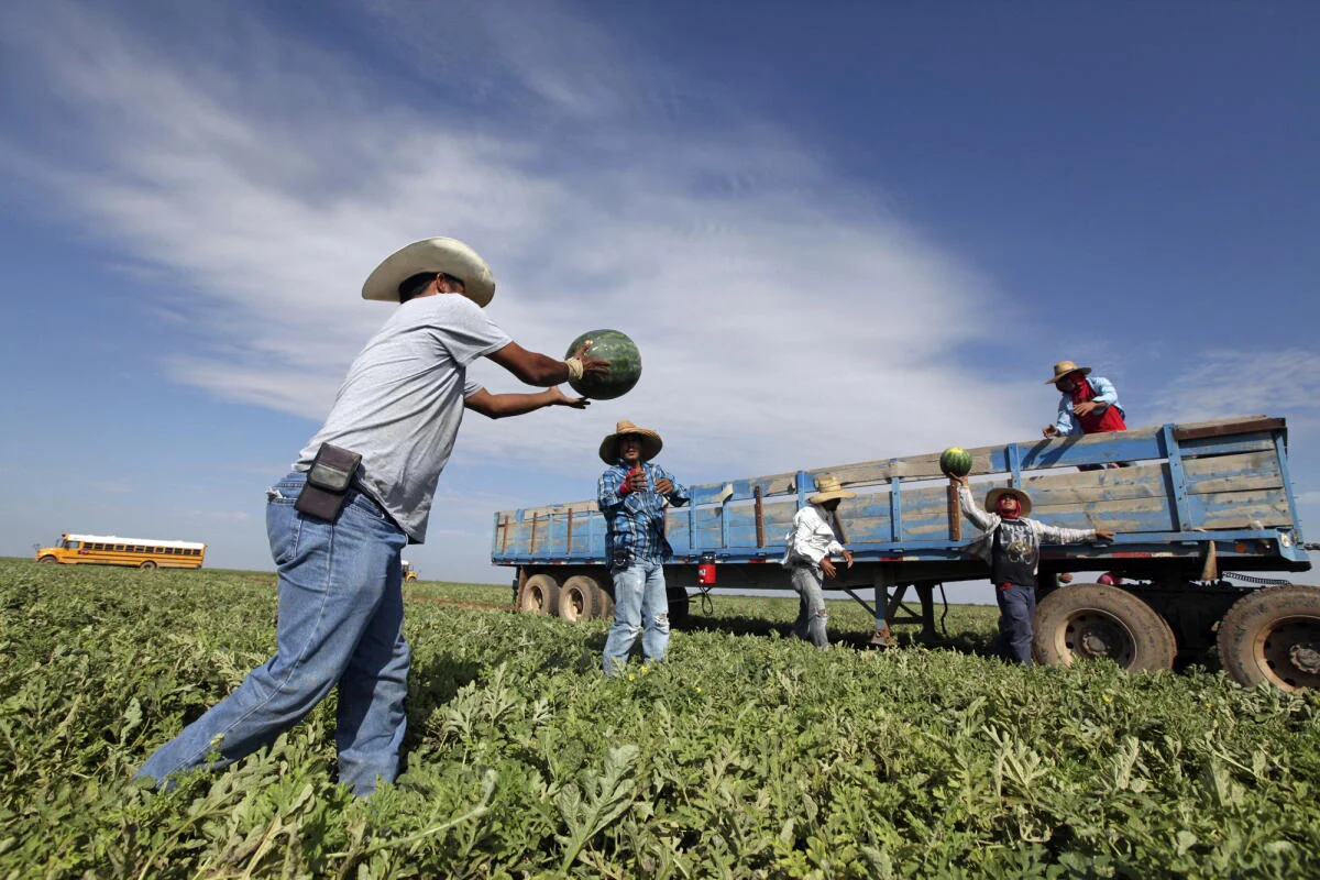 trabajadores mexicanos
