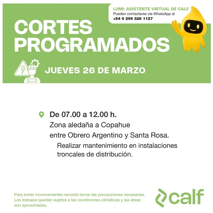 WhatsApp Image 2026-03-25 at 07.10.10