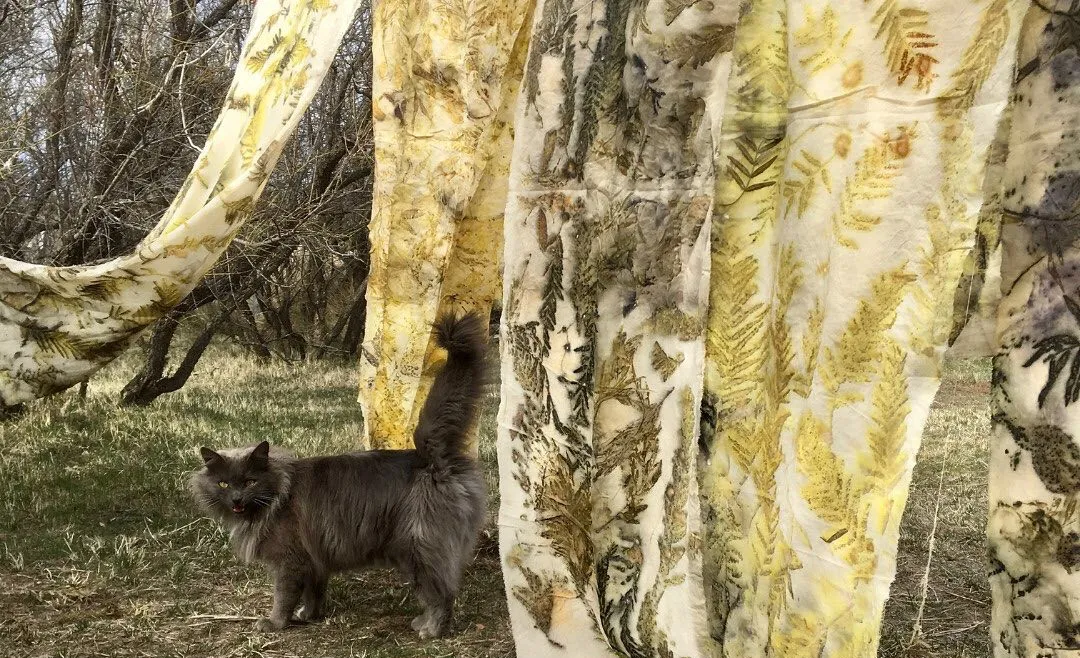 464305367_18359686090136124_4840566691886428346_n